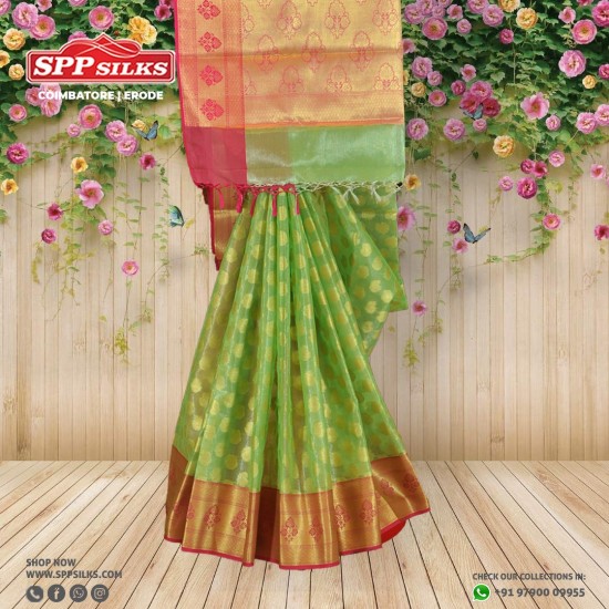  Pista green handwoven Kanchipuram silk saree