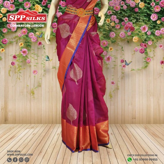 Peach Pink Pure Coimbatore Silk Handloom Saree – BharatSthali