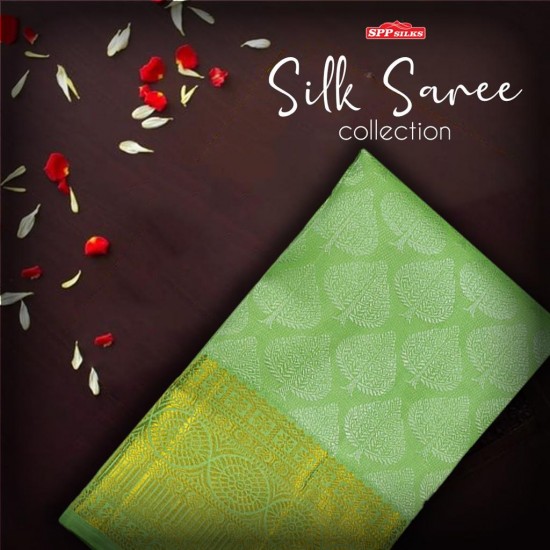 Pistah green saree