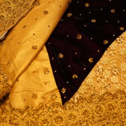 Dark Red Brown With Golden Color Synthetic Fancy Saree