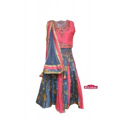 Pink poly Lehenga Choli set